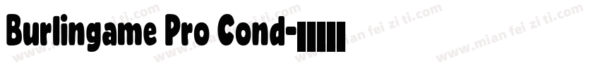 Burlingame Pro Cond字体转换